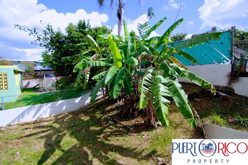New Updated 2 Bedroom Apartment In Bayamon, Puerto Rico